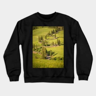 Line of cypress trees in bright sunlight Crewneck Sweatshirt